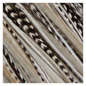 Feather Hair Extension – Zebra Black and White Design, Five Genuine American Rooster Feathers, All Bonded Together at the Tip, Ranging From 7 to 11 Inches in Length, One Extension