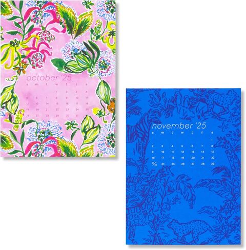 Lilly Pulitzer Desktop Calendar 2025, Small Desk Calendar Dated January 2025 - December 2025, Monthly Calendar for Office Desk, The Hottest Spot in Saudi Arabia