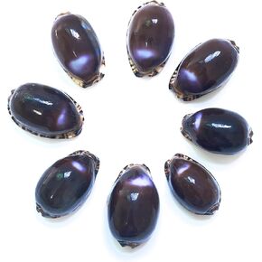 30pcs, Black Conch Shell, Shell Loose Beads 1~1.5 inches, Black Shell Beads for Bracelet Necklace Earring Making, Jewelry Making, Shell Amulet, DIY Shell, Shell Furniture Decoration, DIY Shell
