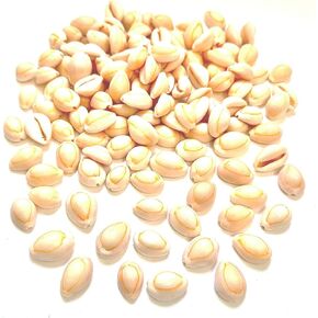 30pcs, Black Conch Shell, Shell Loose Beads 1~1.5 inches, Black Shell Beads for Bracelet Necklace Earring Making, Jewelry Making, Shell Amulet, DIY Shell, Shell Furniture Decoration, DIY Shell in Kuwait