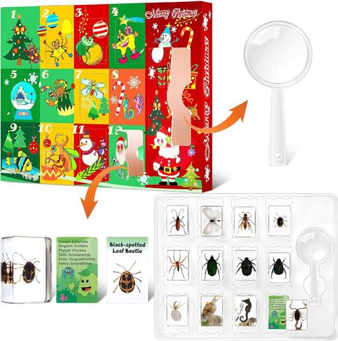 12 Pcs Christmas Countdown Advent Calendar Specimen Bugs Gift Set, Insect in Resin Bugs Collection with 1 Magnifier 12 Information Cards for Christmas Gift Scientific Educational Display in Saudi Arabia