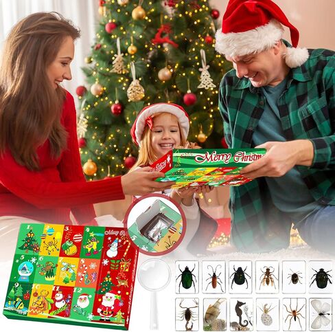 12 Pcs Christmas Countdown Advent Calendar Specimen Bugs Gift Set, Insect in Resin Bugs Collection with 1 Magnifier 12 Information Cards for Christmas Gift Scientific Educational Display in Saudi Arabia