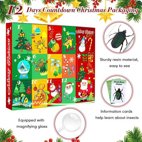 12 Pcs Christmas Countdown Advent Calendar Specimen Bugs Gift Set, Insect in Resin Bugs Collection with 1 Magnifier 12 Information Cards for Christmas Gift Scientific Educational Display in Saudi Arabia