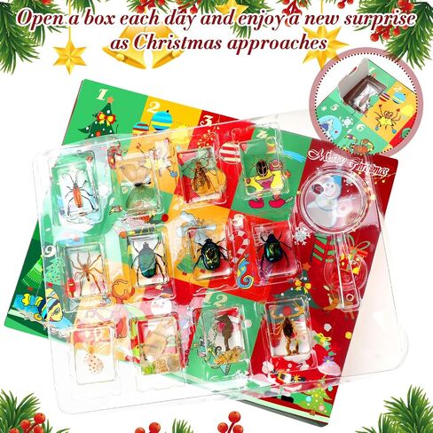 12 Pcs Christmas Countdown Advent Calendar Specimen Bugs Gift Set, Insect in Resin Bugs Collection with 1 Magnifier 12 Information Cards for Christmas Gift Scientific Educational Display in Saudi Arabia