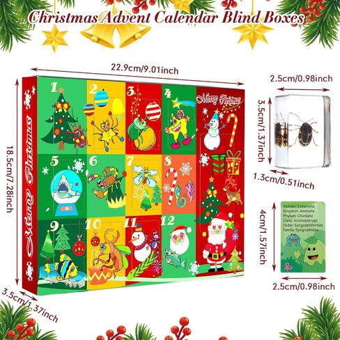 12 Pcs Christmas Countdown Advent Calendar Specimen Bugs Gift Set, Insect in Resin Bugs Collection with 1 Magnifier 12 Information Cards for Christmas Gift Scientific Educational Display in Saudi Arabia