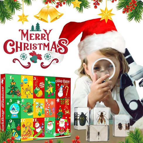 12 Pcs Christmas Countdown Advent Calendar Specimen Bugs Gift Set, Insect in Resin Bugs Collection with 1 Magnifier 12 Information Cards for Christmas Gift Scientific Educational Display in Saudi Arabia