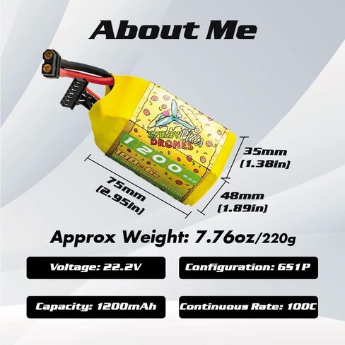 CNHL 1200mAh 6S Lipo Battery 22.2V 100C Burst 200C with XT60 Plug for FPV Racing,RC Quadcopter Helicopter Airplane (2 Packs) in Kuwait