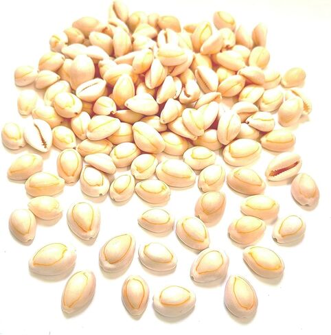 30pcs, Black Conch Shell, Shell Loose Beads 1~1.5 inches, Black Shell Beads for Bracelet Necklace Earring Making, Jewelry Making, Shell Amulet, DIY Shell, Shell Furniture Decoration, DIY Shell in Kuwait