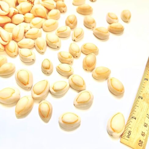 30pcs, Black Conch Shell, Shell Loose Beads 1~1.5 inches, Black Shell Beads for Bracelet Necklace Earring Making, Jewelry Making, Shell Amulet, DIY Shell, Shell Furniture Decoration, DIY Shell in Kuwait