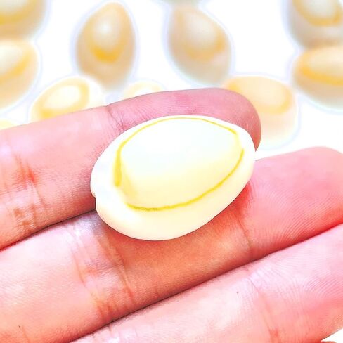 30pcs, Black Conch Shell, Shell Loose Beads 1~1.5 inches, Black Shell Beads for Bracelet Necklace Earring Making, Jewelry Making, Shell Amulet, DIY Shell, Shell Furniture Decoration, DIY Shell in Kuwait