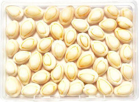 30pcs, Black Conch Shell, Shell Loose Beads 1~1.5 inches, Black Shell Beads for Bracelet Necklace Earring Making, Jewelry Making, Shell Amulet, DIY Shell, Shell Furniture Decoration, DIY Shell in Kuwait