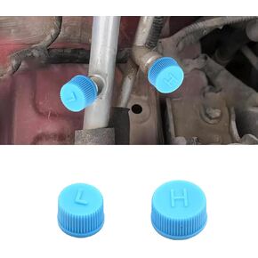 10 PCS Car Air Conditioner Dust Valve Caps, Blue Car AC Valve Core Repair Cover Kit, R134a Low Side & High Side Pressure AC Charging Port Caps Replacement for Car Truck Air Conditioning System