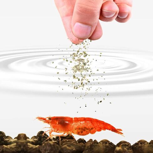 SunGrow White Mineral Powder, Calcium Enriched for Shrimp’s Stress-Free molting, Aids in Healthy & Active breeding, Improves Water Quality for Longevity, Imparts Color to Shrimps, 2 oz in Saudi Arabia