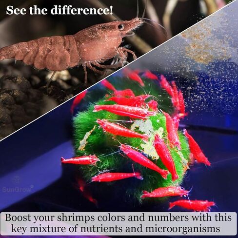 SunGrow White Mineral Powder, Calcium Enriched for Shrimp’s Stress-Free molting, Aids in Healthy & Active breeding, Improves Water Quality for Longevity, Imparts Color to Shrimps, 2 oz in Saudi Arabia