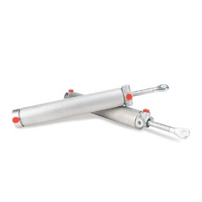 أذرع أسطوانة الرفع الهيدروليكية القابلة للتحويل متوافقة مع Ford Mustang & Cobra 1999 2000 2001 2002 2003 2004 يستبدل XR3Z-7650600-A XR3Z7650600A (زوج) in Kuwait