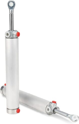 أذرع أسطوانة الرفع الهيدروليكية القابلة للتحويل متوافقة مع Ford Mustang & Cobra 1999 2000 2001 2002 2003 2004 يستبدل XR3Z-7650600-A XR3Z7650600A (زوج) in Kuwait