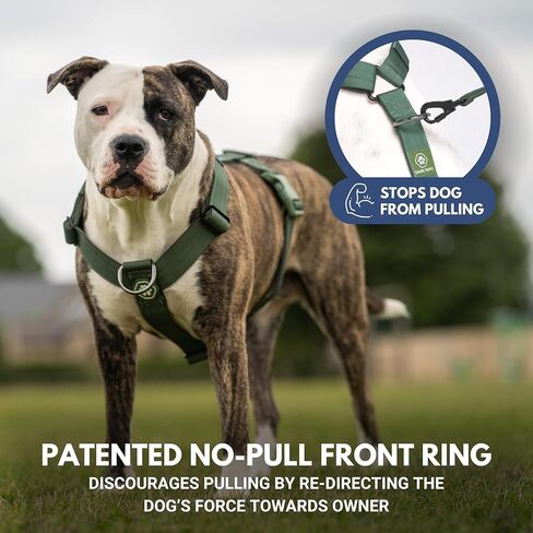 Spark Paws Large Dog No-Pull Harness, Halter Design with Front Clip, Durable and Heavy-Duty for Big and Strong Breeds - Kaleidoscope - M in Kuwait