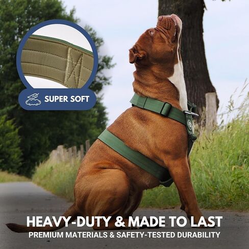 Spark Paws Large Dog No-Pull Harness, Halter Design with Front Clip, Durable and Heavy-Duty for Big and Strong Breeds - Kaleidoscope - M in Kuwait