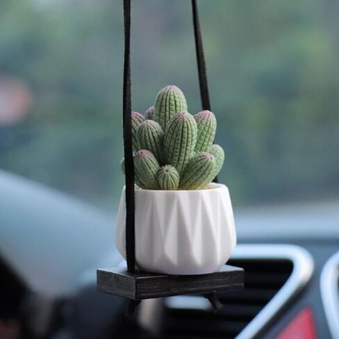 Cactus Fleshy Car Rear View Mirror Decorative Cactus Car Ornament Accessories Cute Potted Plant Succulent Hanging Pendant,E in Saudi Arabia