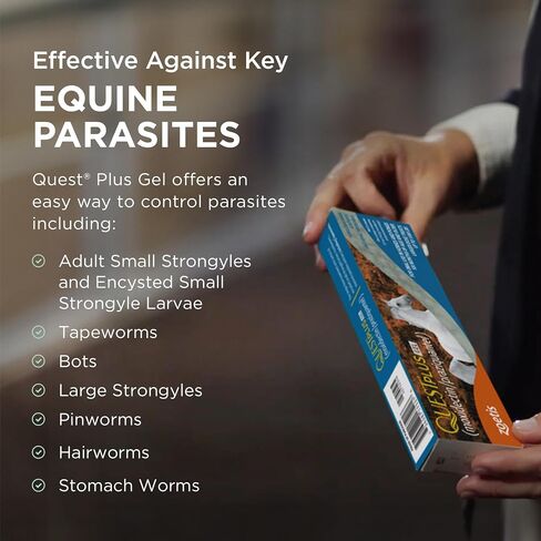 Quest Plus (moxidectin/praziquantel) Gel Dewormer for Horses, 0.5 oz in Saudi Arabia