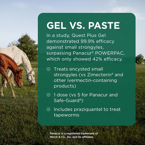 Quest Plus (moxidectin/praziquantel) Gel Dewormer for Horses, 0.5 oz in Saudi Arabia