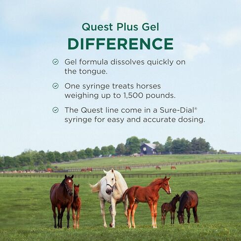 Quest Plus (moxidectin/praziquantel) Gel Dewormer for Horses, 0.5 oz in Saudi Arabia