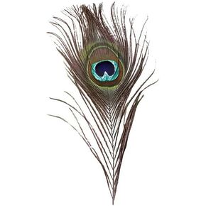 1pc Green New Peacock Feather Tail Family Room Wedding Living Room Party Give Gifts，Decor Bed Tool Decoration Feather Craft Supplies