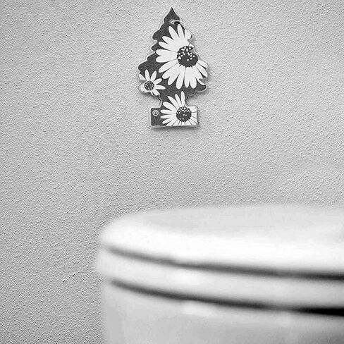 LITTLE TREES Car Air Freshener | Hanging Paper Tree for Home or Car | Leather in Kuwait