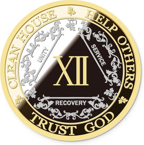 AA Sobriety Coin – Exquisite AA Anniversary Coins, Medallions & Chips – The Perfect Sober Gift for AA Recovery and Clean Milestones (Twelve Years) in Saudi Arabia