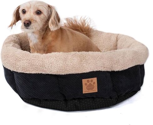 Petmate Cozy Dog Bed, 21"L x 21"W x 6"Th, Blend Material, Machine Washable in Kuwait