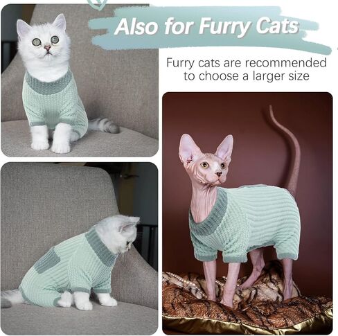 DENTRUN Sphynx القطط بدون شعر سترة شتوية دافئة لطيف بلوفر عالي المرونة قمصان هريرة قابلة للتنفس ملابس ترفيهية للقطط سترة ذات ياقة مدورة ملابس قطط رائعة سترة بيجامة بذلة in Kuwait