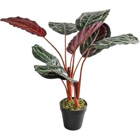 Coferset 22inch Artificial Tree in Pot with Moss, Artificial Tree for Home Office Living Room Bathroom Corner Decor (Croton) in Kuwait