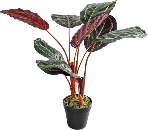 Coferset 22inch Artificial Tree in Pot with Moss, Artificial Tree for Home Office Living Room Bathroom Corner Decor (Croton) in Kuwait