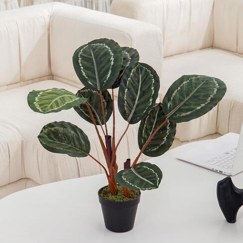 Coferset 22inch Artificial Tree in Pot with Moss, Artificial Tree for Home Office Living Room Bathroom Corner Decor (Croton) in Kuwait
