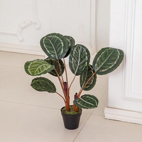 Coferset 22inch Artificial Tree in Pot with Moss, Artificial Tree for Home Office Living Room Bathroom Corner Decor (Croton) in Kuwait