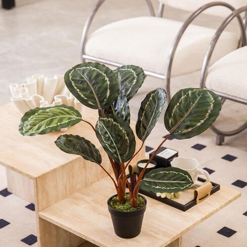 Coferset 22inch Artificial Tree in Pot with Moss, Artificial Tree for Home Office Living Room Bathroom Corner Decor (Croton) in Kuwait