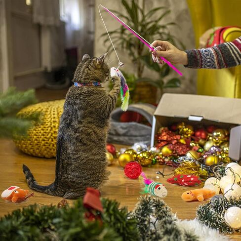 ألعاب تخزين عيد الميلاد للكلاب من Auliand، 5 قطع ألعاب مضغ للكلاب مع سانتا، شجرة عيد الميلاد، كرة، ألعاب مضغ حبل متين، ألعاب تصدر صوتًا، هدية، ألعاب حشو تخزين الكلاب التفاعلية in Kuwait