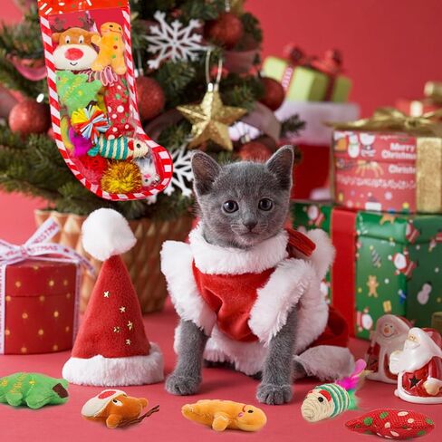 ألعاب تخزين عيد الميلاد للكلاب من Auliand، 5 قطع ألعاب مضغ للكلاب مع سانتا، شجرة عيد الميلاد، كرة، ألعاب مضغ حبل متين، ألعاب تصدر صوتًا، هدية، ألعاب حشو تخزين الكلاب التفاعلية in Kuwait