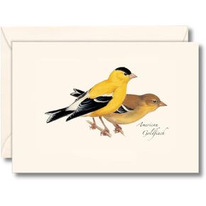 Earth Sky + Water - American Goldfinch Notecard Set - 8 Blank Cards with Envelopes