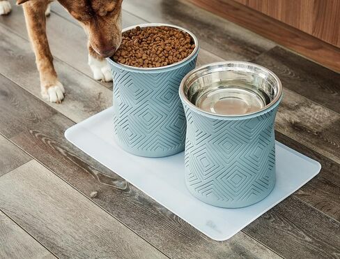 Santa Fe Single Elevated Pet Bowl for Dry Food or Water with Stainless Steel Washable and Removable 16oz Inner Bowl (Small, Coral Pink) in Saudi Arabia