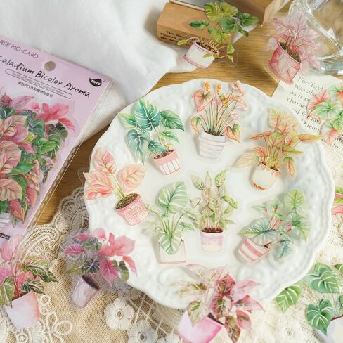 MAXLEAF 180 قطعة من ملصقات الزهور العتيقة ونباتات الصبار والحيوانات الأليفة من أجل المجلات الفنية DIY وألبوم مخطط القصاصات وديكورات الصور، هدايا لمحبي المجلات in Kuwait