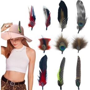 Hat Feathers for Women,10 Pcs Natural Feathers for Men,Assorted Peacock Feathers for Hats,Colorful Feathers for Western Cowboy Hats Christmas Party Hats,Feathers Accessories DIY Decorations