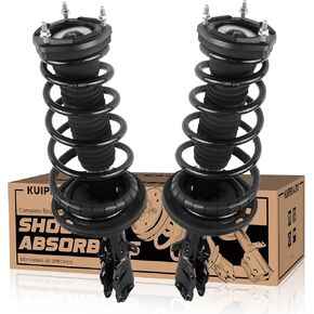 2PCS Rear Complete Strut Assembly 171492 171493 Spring Coil Springs Shock Absorber Compatible for 2002-2003 Lexus ES300/ Toyota Camry