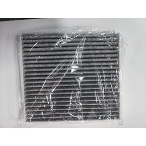 carbon Cabin Air Filter and Filter Access Door1