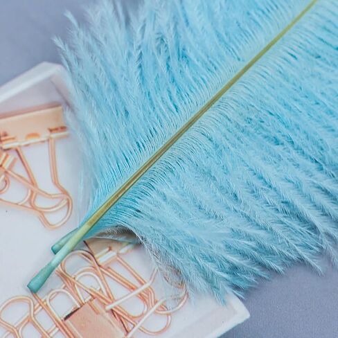 30 Pcs 15-20 cm Craft Ostrich Feathers Large Fluffy Feathers for Crafting Soft Art Feathers Dream Catcher Feathers Festival Party Feathers White in Saudi Arabia