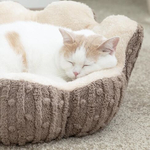 Hollypet Calming Cat Beds for Indoor Cats - Cute Cactus Pet Beds, Fluffy Puppy Bed, Non-Slip Extra Small Dog Bed, Green in Saudi Arabia