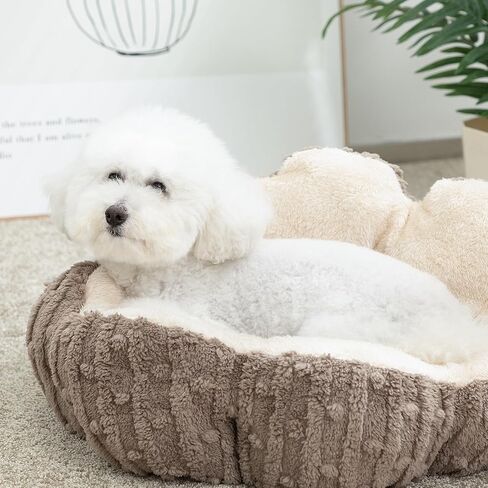 Hollypet Calming Cat Beds for Indoor Cats - Cute Cactus Pet Beds, Fluffy Puppy Bed, Non-Slip Extra Small Dog Bed, Green in Saudi Arabia