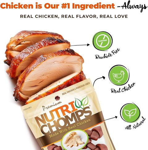 NutriChomps Dog Chews, 2.5-inch Knots, Easy to Digest, Rawhide-Free Dog Treats, 8 Count, Real Peanut Butter flavor in Saudi Arabia
