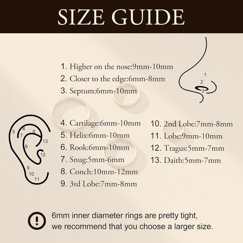 2Pcs Titanium & 316L Steel Nose Ring Hoops, Gold/Silver Cartilage Earrings for Men & Women - Septum, Tragus, Conch, Helix, Daith, Lip Piercing Jewelry with CZ Accent in Saudi Arabia