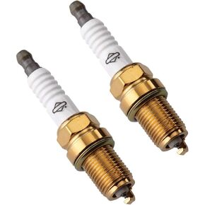 Briggs & Stratton 2 Pack of Genuine OEM Spark Plugs # 696202-2PK
